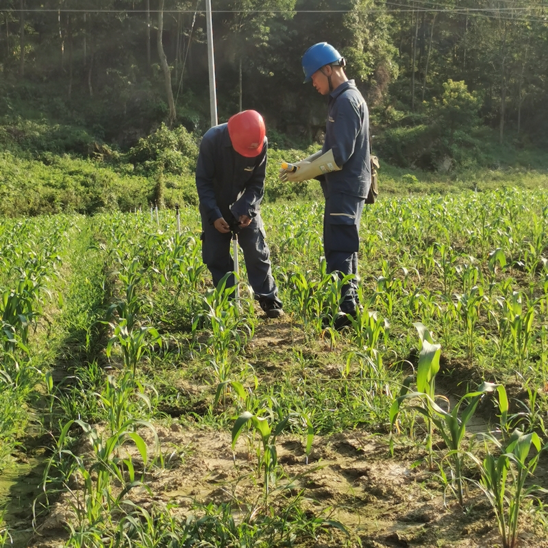 南方電網工作人員在檢查蔬菜基地的自動澆水裝置。望謨供電局供圖