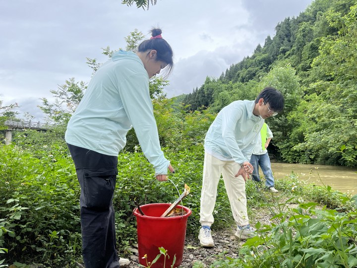 志愿者在清理河道垃圾。
