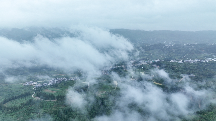 2024年6月9日，貴州省畢節赫章縣平山鎮對江社區雲霧繚繞。