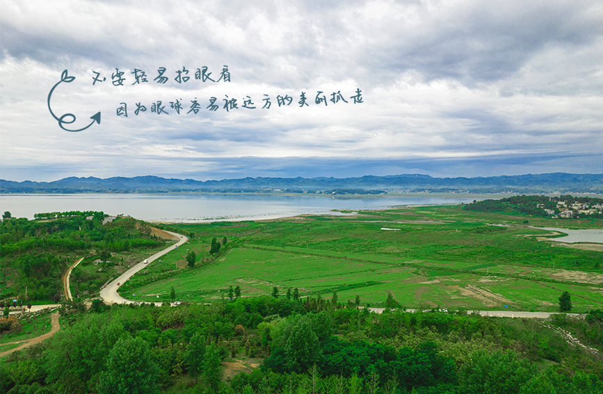 雨后烟雨朦胧的草海。王劲松摄