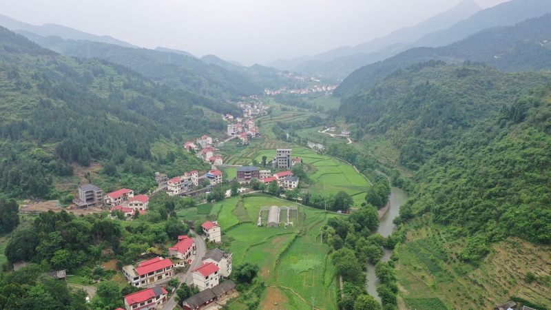 五马镇协农村。