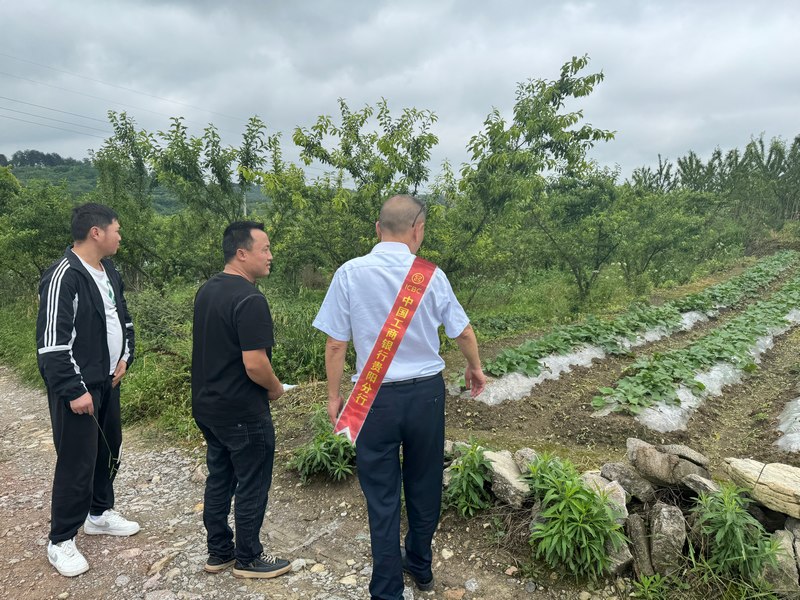 工行贵阳清镇支行助农人员深入乡村进行实地调研。图片由工行清镇支行提供