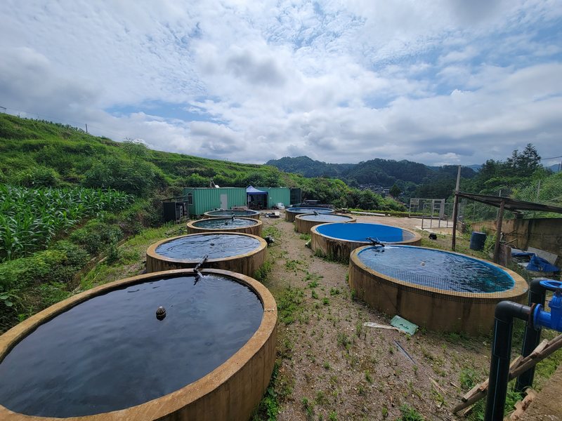 黔東南州首家虹鱒魚養殖示范基地。
