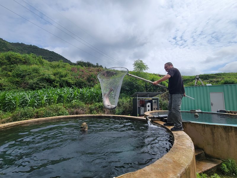 黔東南州首家虹鱒魚養殖示范基地。