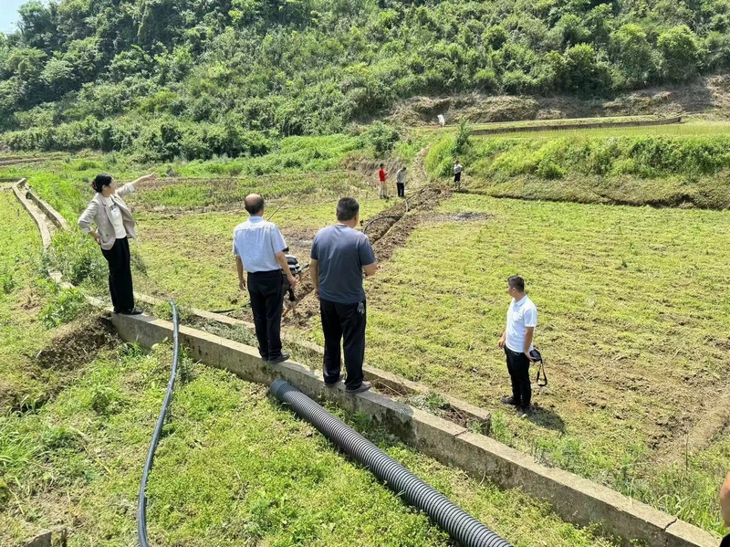 现场查看沟渠修建进度。