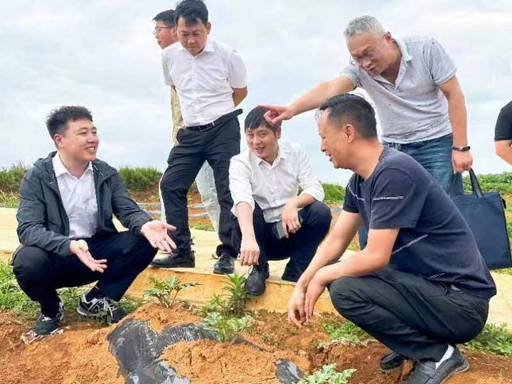 技術指導。