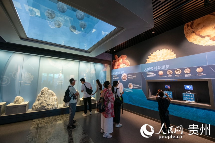 6月21日，在貴州省地質博物館，游客正在參觀游覽。人民網記者 翁奇羽攝