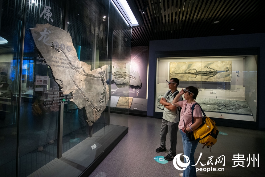 6月21日，在貴州省地質博物館，游客正在參觀游覽。人民網記者 翁奇羽攝