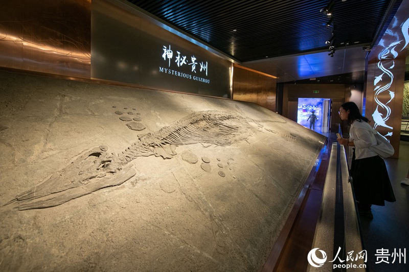 在贵州省地质博物馆，游客正在参观游览。人民网记者 翁奇羽摄