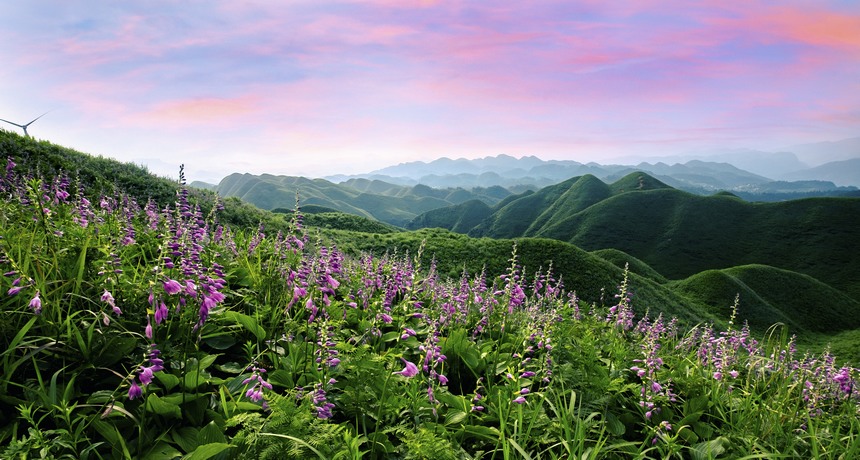 金沙玉簪花云海景区。