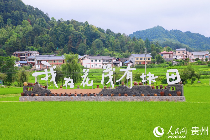 1、花茂村路旅融合，展现乡村振兴新面貌。人民网 顾兰云摄