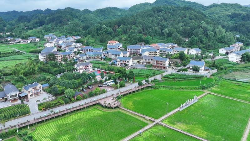 3、花茂村公路横穿田野。刘青摄