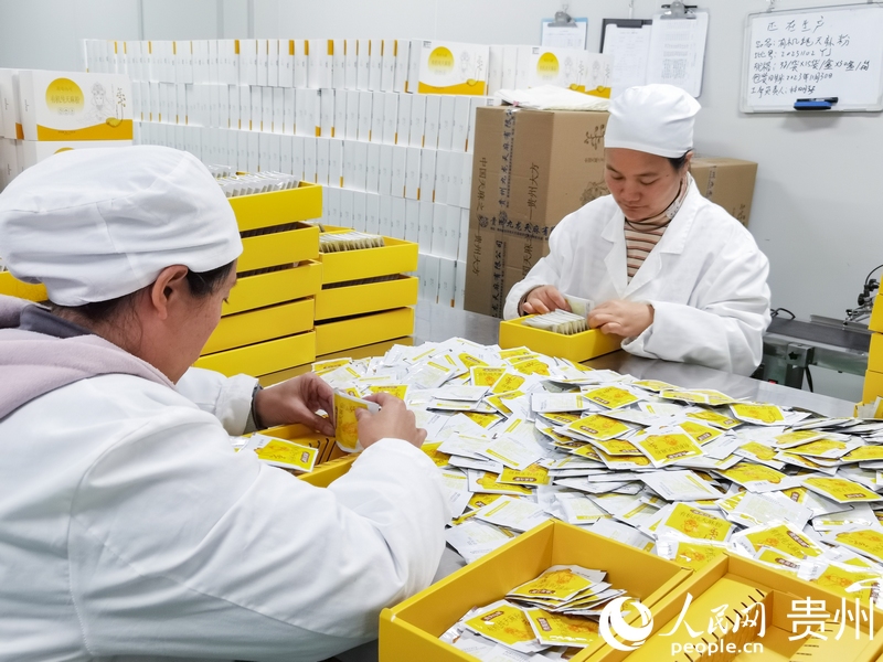 企业生产车间内，工人正在打包天麻粉。人民网记者 王秀芳摄