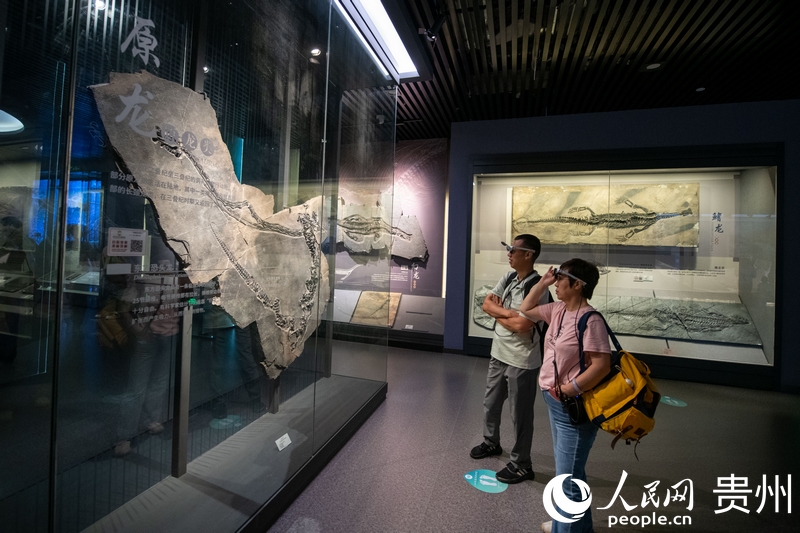 贵州省地质博物馆，游客正在参观游览。人民网记者 翁奇羽摄