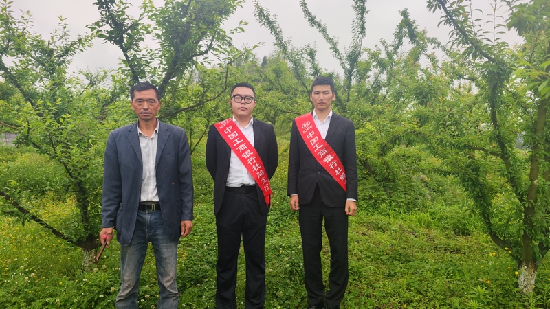 工作人员到村民李子种植基地实地查看相关情况