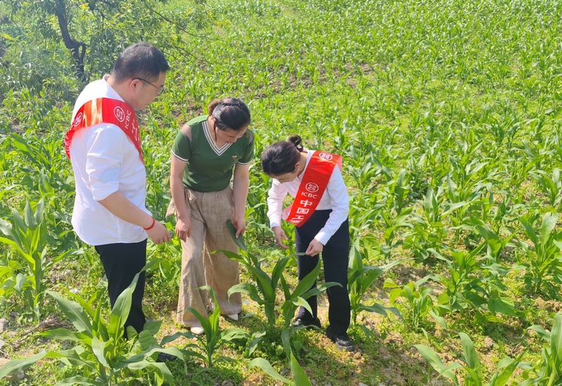 到种植基地查看并提供金融支持。