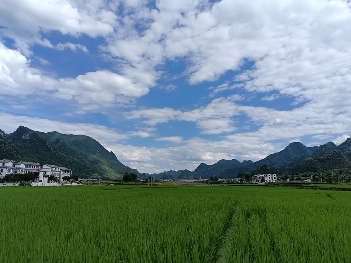 万峰林美景。