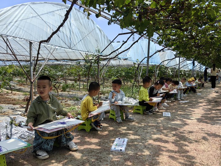 在葡萄园研学的小朋友。