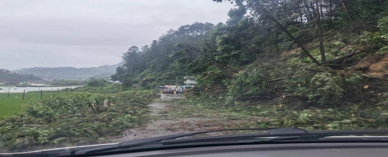 应急监测队员清理路障后继续赶路。吴寿斌摄