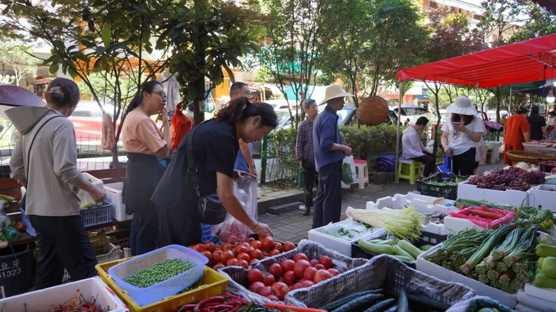 7月3日，在百里杜鹃花都城区，随处可见各地避暑游客在大街小巷购物。赵刚摄