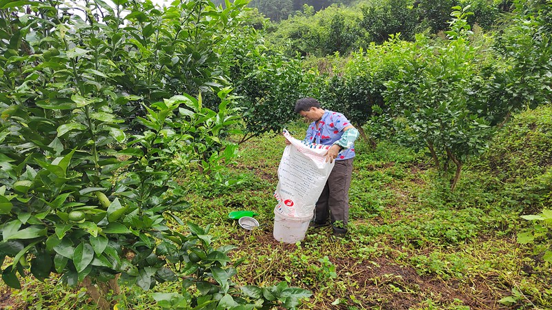 吸納附近村民到產業園務工。