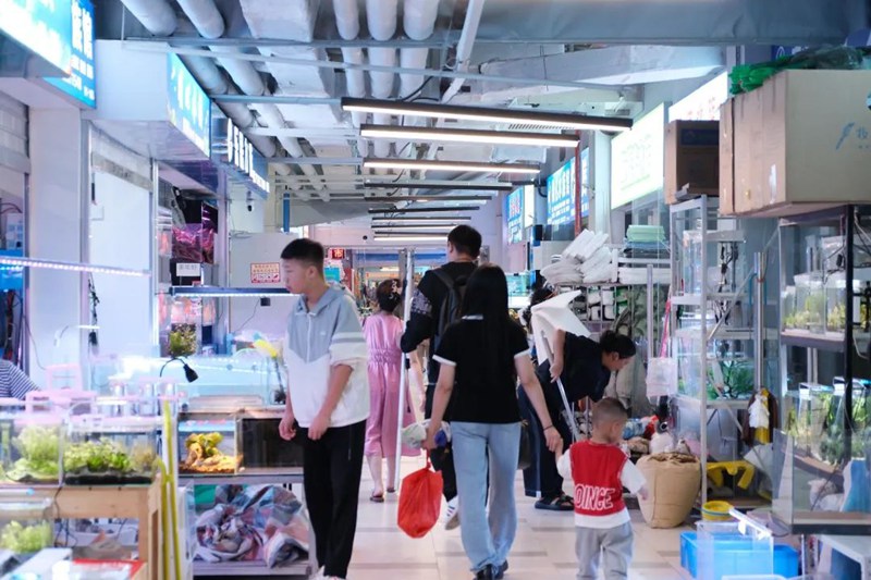 贵钢花鸟商业街区。