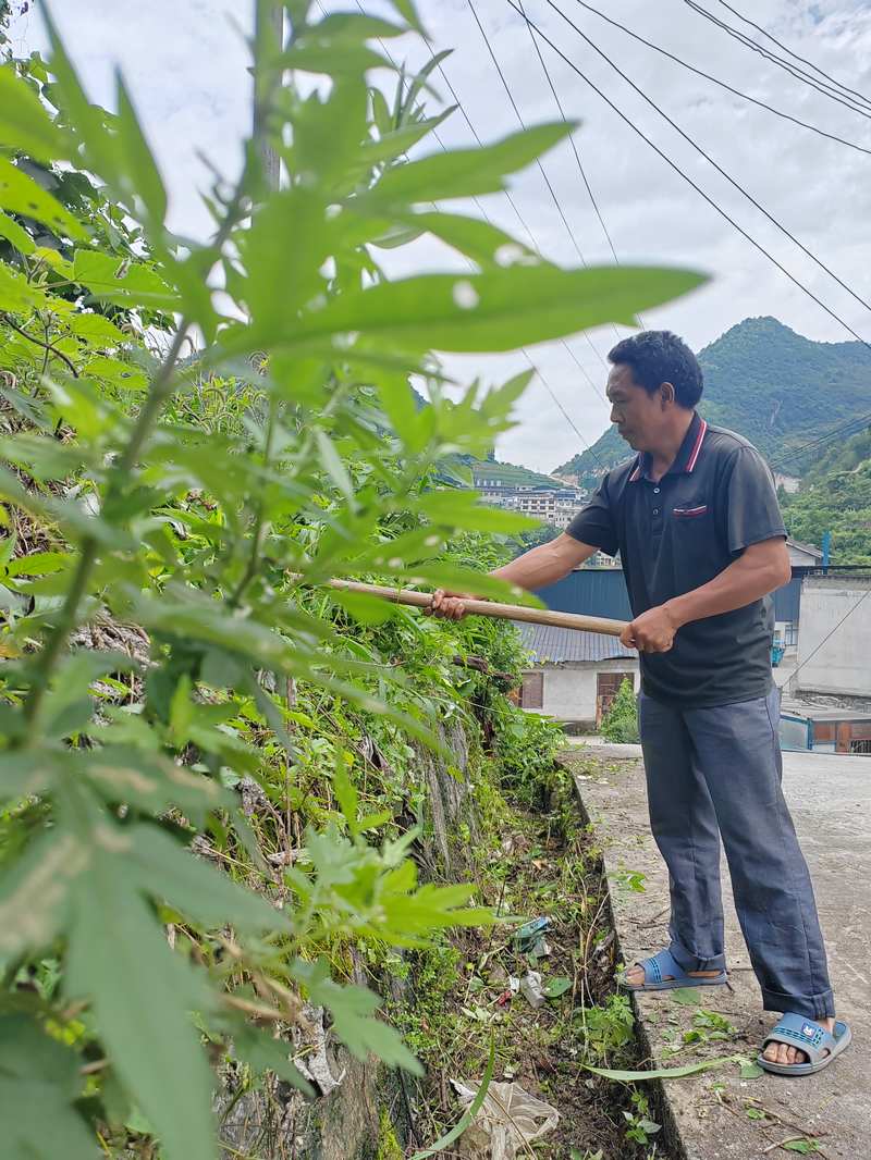 茅台鎮桂花村群眾在保潔。