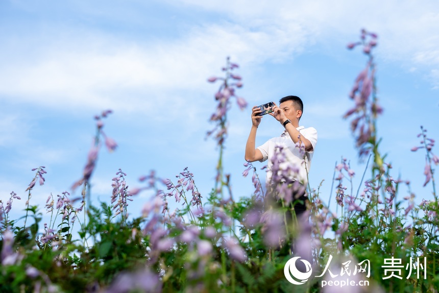 游客在玉簪花丛中拍照打卡。人民网记者 涂敏摄