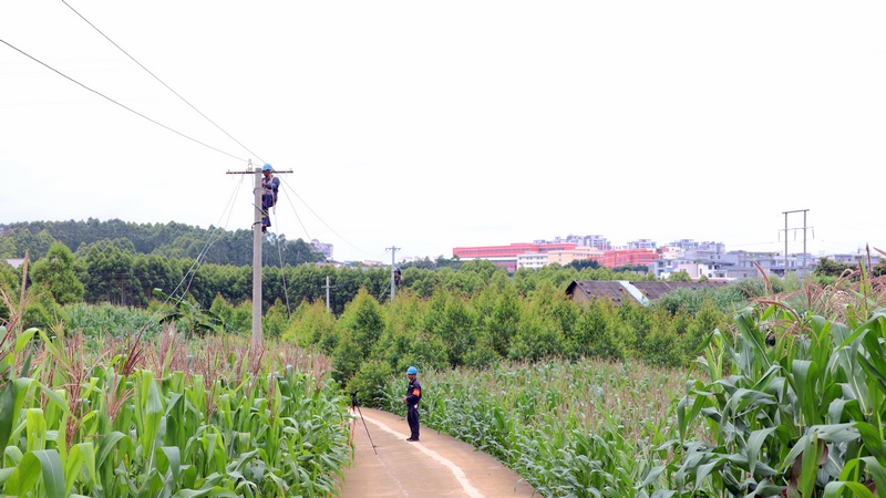 升級配電線路。