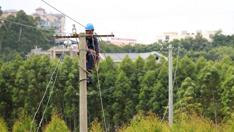 升級配電線路。