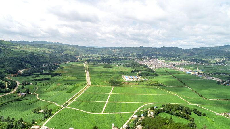 毕节市威宁县秀水烟区。