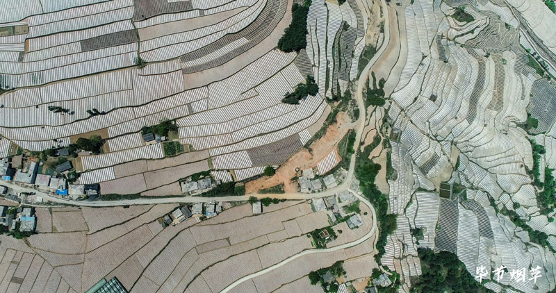 毕节市威宁县云贵基地单元。