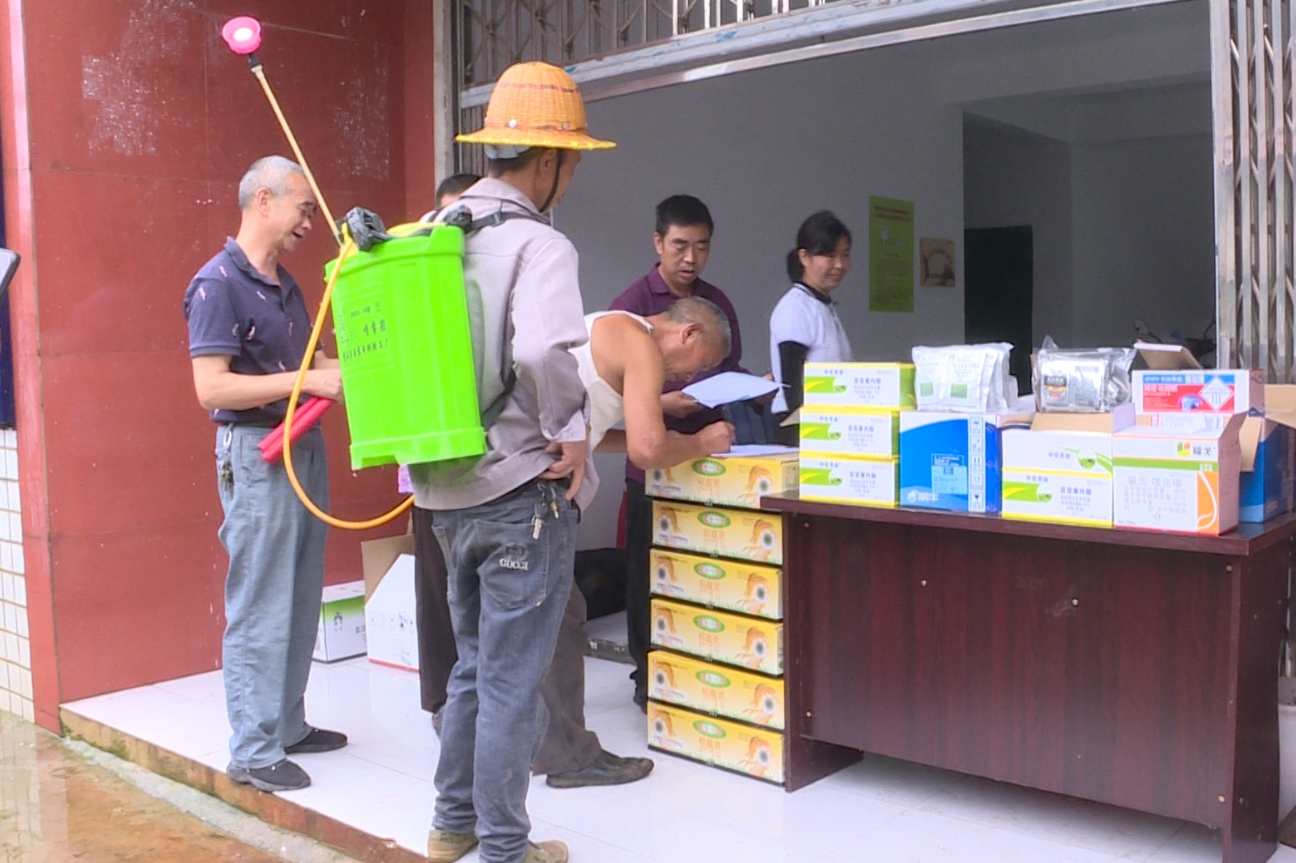 村民领取农药。王成鹏摄