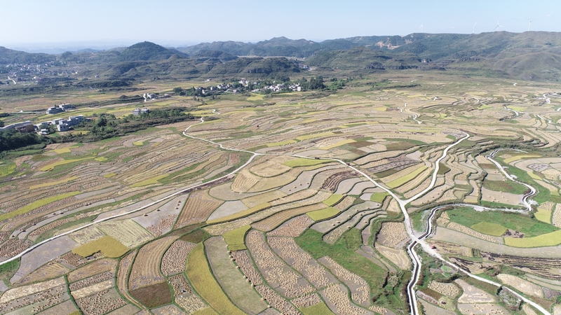 1、花溪区高坡乡高标准农田建设项目。