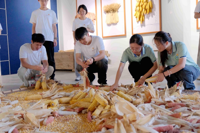 5 圖為大學生在綏陽縣省級勞動綜合實踐基地開展社會實踐