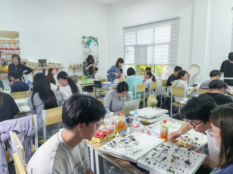 浙江大学植保系2022级学生在制作标本。