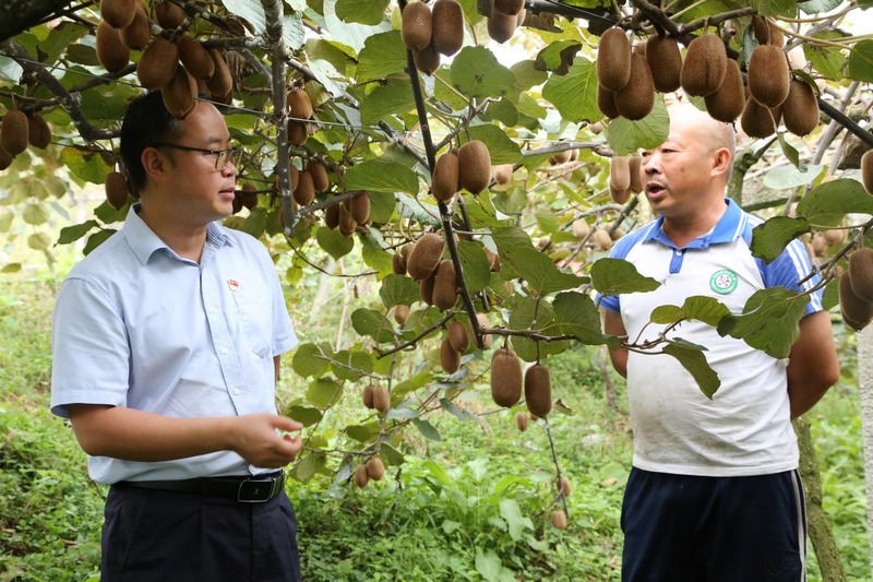 党支部书记朱加永走访种植大户，了解经营情况，为农户提供减额续贷支持。