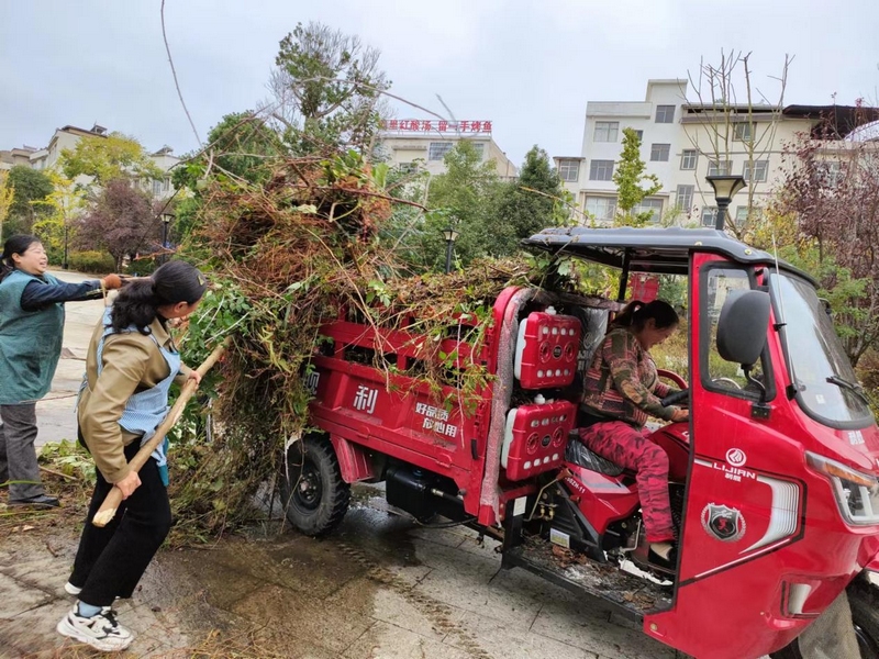 圖為：清運垃圾雜草