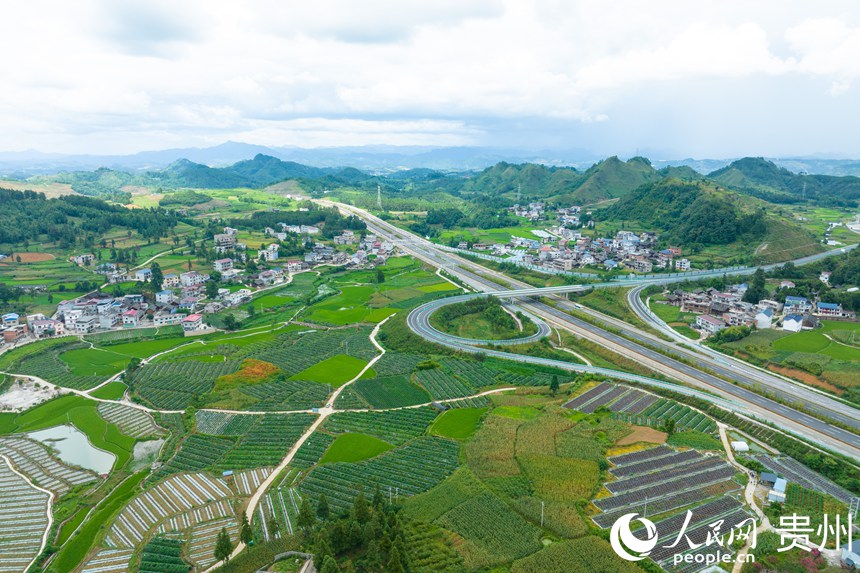 航拍蔬菜种植基地。人民网 阳茜摄