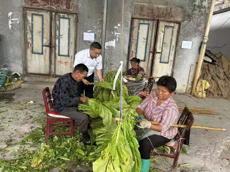 调研。