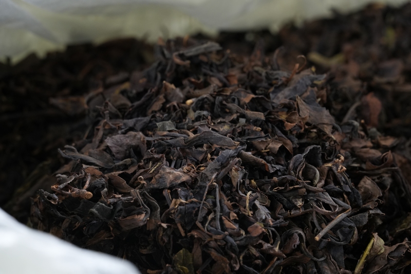  Sinan, Guizhou: 800 tons of ecological tea orders are issued for the first time, and the road of green development adds glory