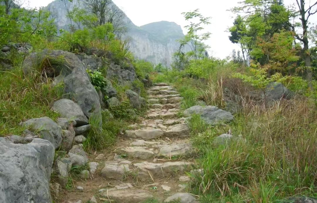 茶马古道（金沙段）。