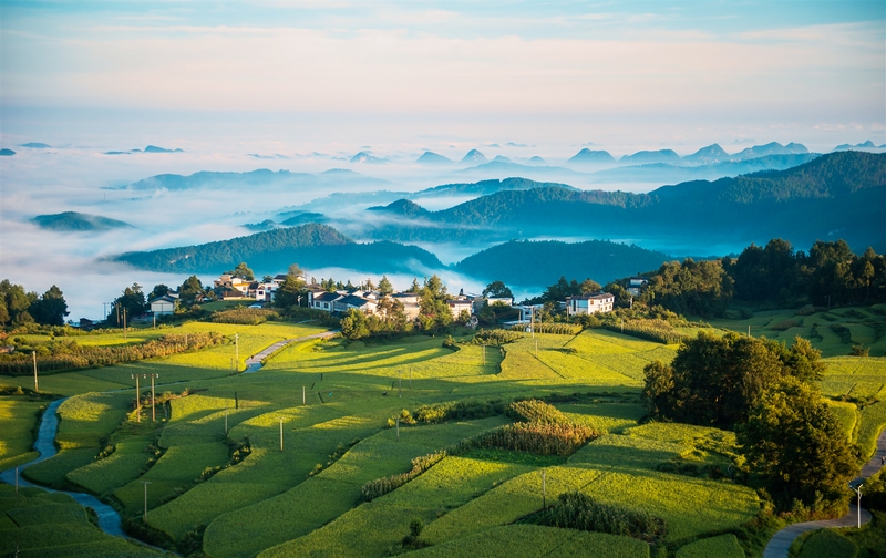 美丽乡村。