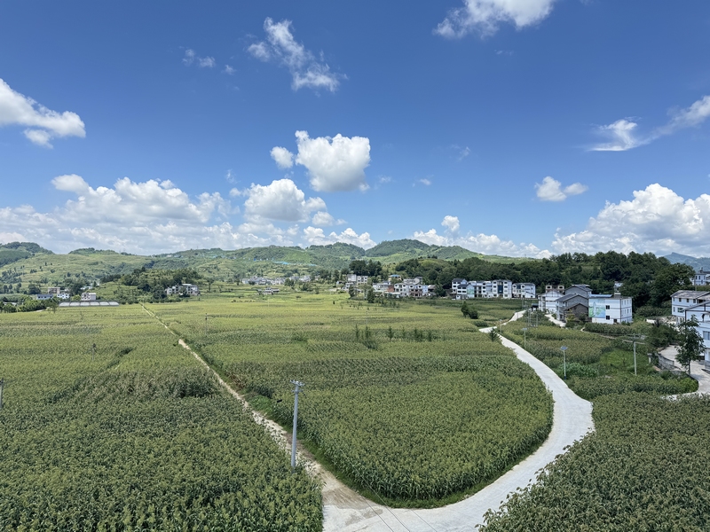 美麗官倉。