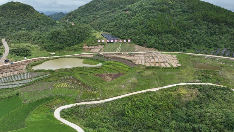 谷脚镇高新村富硒天麻种植基地