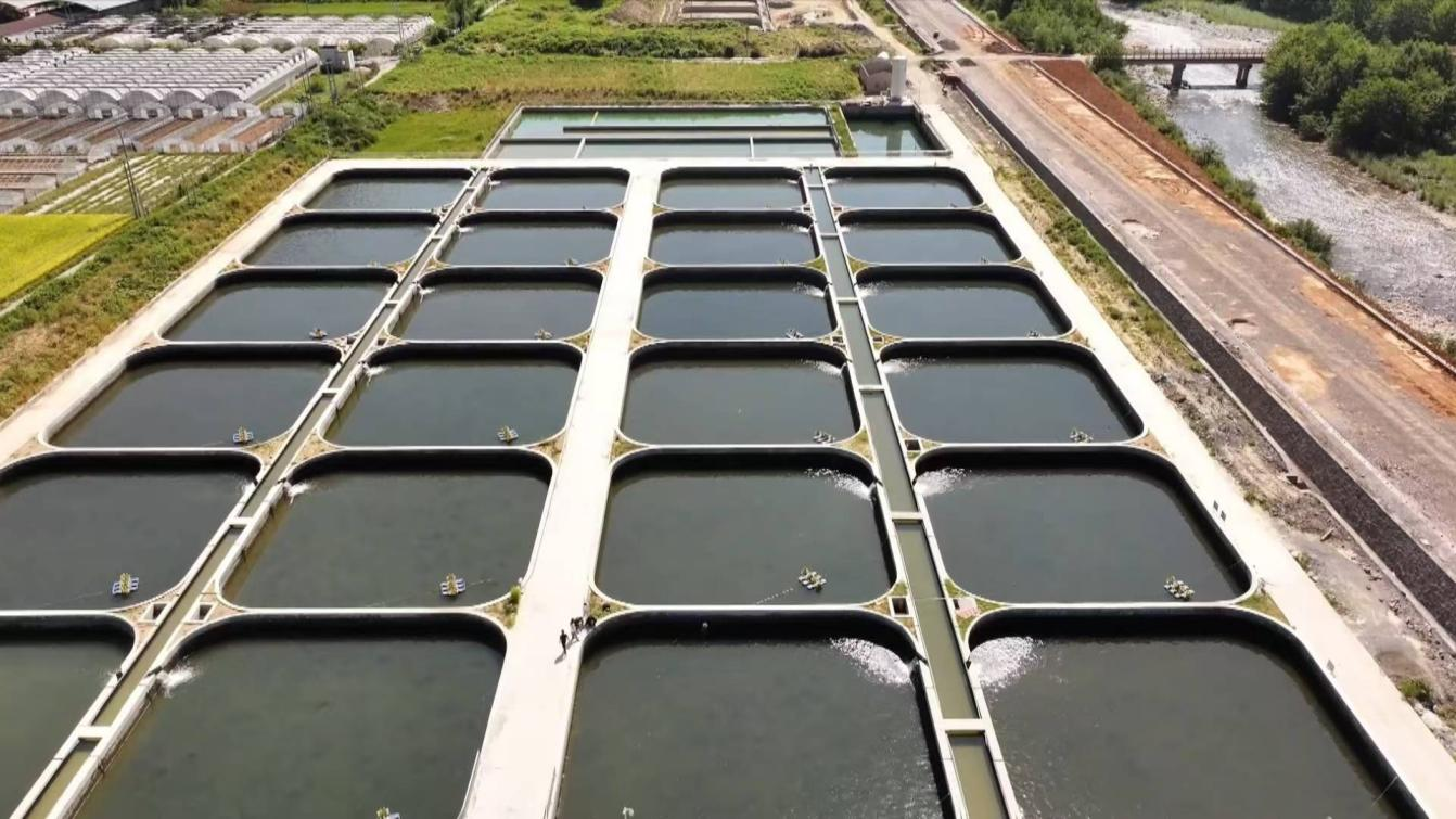 冷水鱼养殖基地。