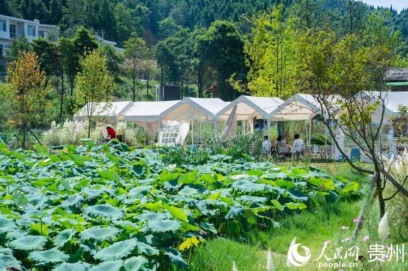 掩映在自然美景中的露營基地 人民網 陽茜攝.jpg