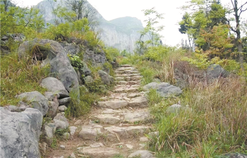 茶马古道（金沙段）。