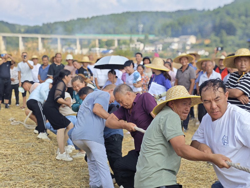 圖為：參賽群眾正在開展緊張激烈的拔河比賽。