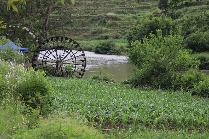 水清岸綠的偏岩河岸  蔡正玲  攝 (1)